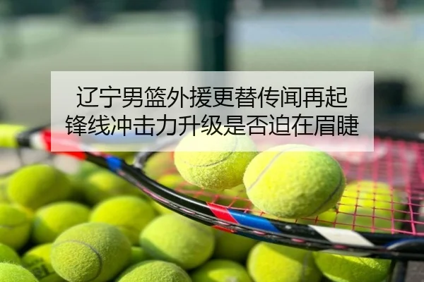辽宁男篮外援更替传闻再起 锋线冲击力升级是否迫在眉睫